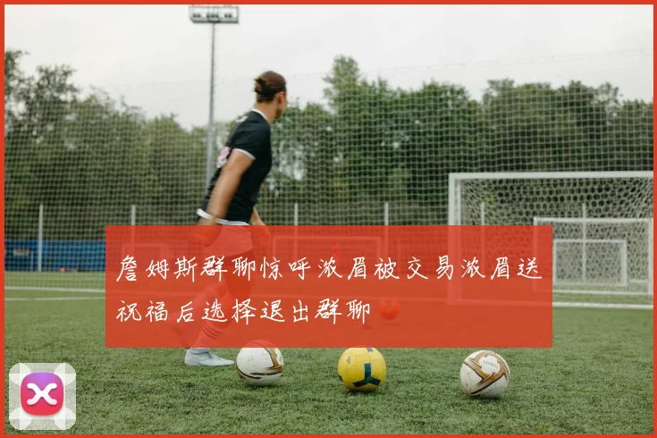 詹姆斯群聊惊呼浓眉被交易浓眉送祝福后选择退出群聊