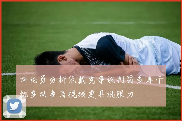评论员分析范戴克争议判罚多库干扰多纳鲁马视线更具说服力