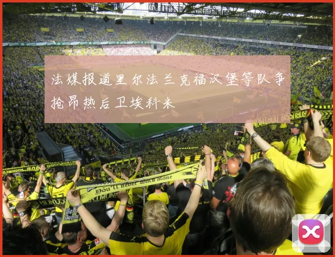 法媒报道里尔法兰克福汉堡等队争抢昂热后卫埃科米
