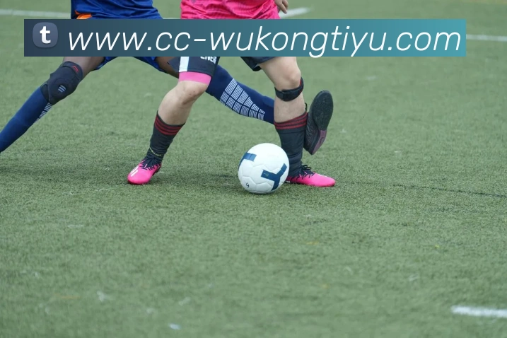 悟空体育平台生态图