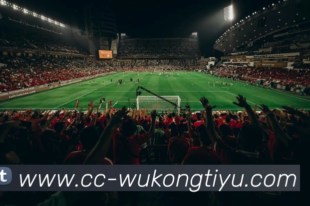 悟空体育APP 封面图